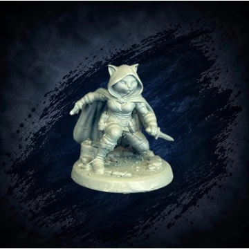 Catfolk Rogue NPC